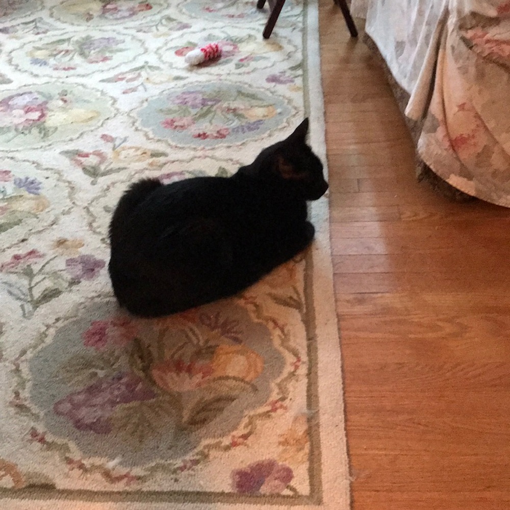 Meet your Posher, Nancy